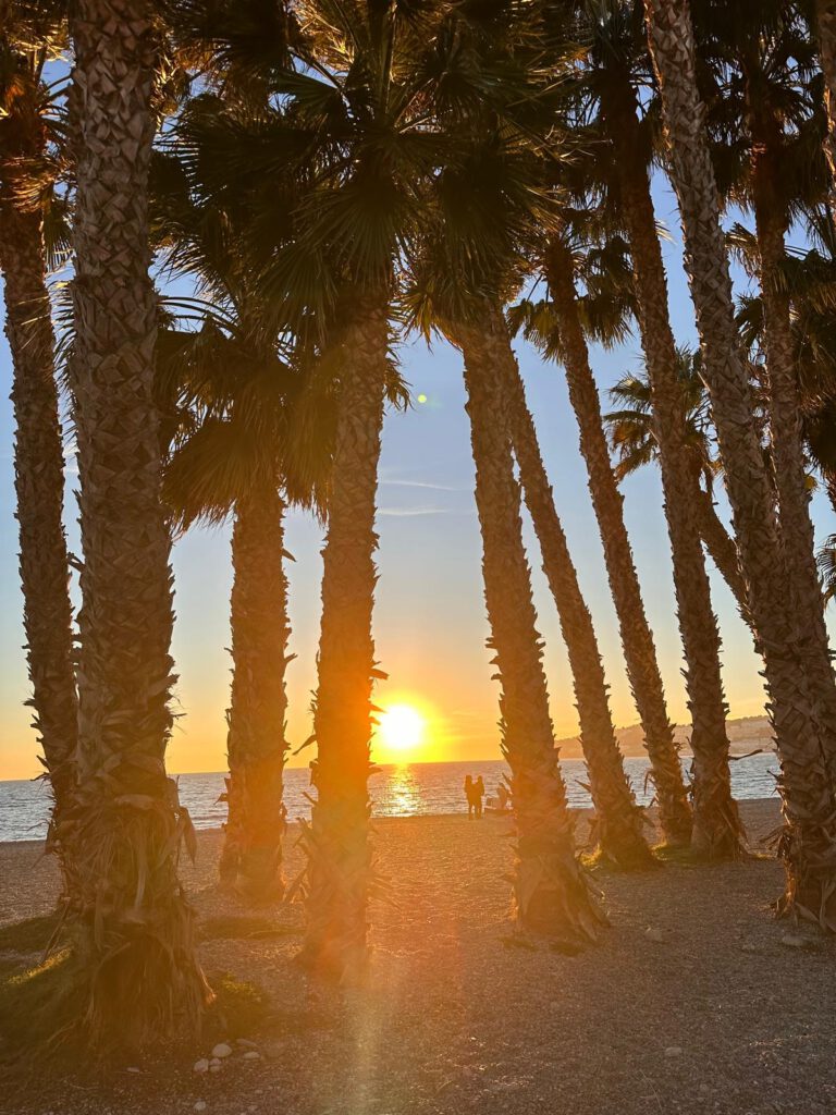 Sunset almunecar beach tropical bugambilla