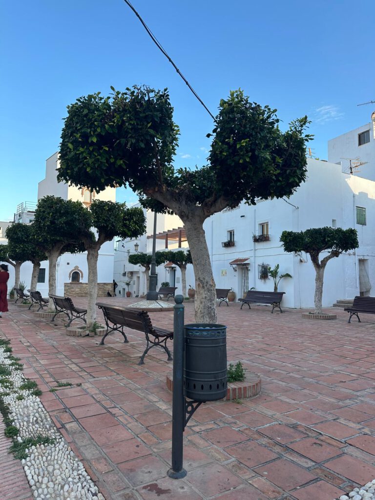 PLaza 